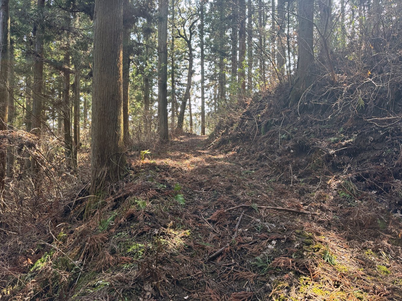 候補地の現地調査例。写真提供：株式会社新エネルギー総合研究所